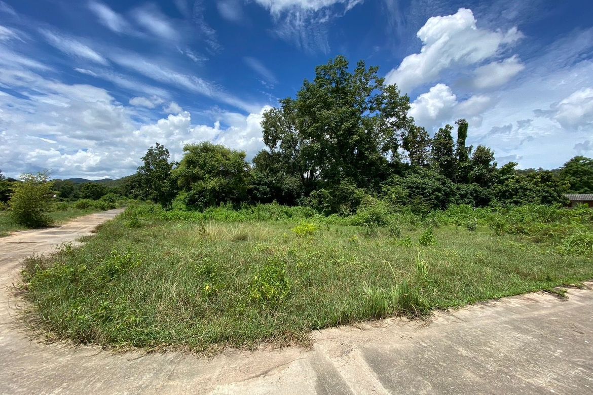 Land for sale-P-PLS976