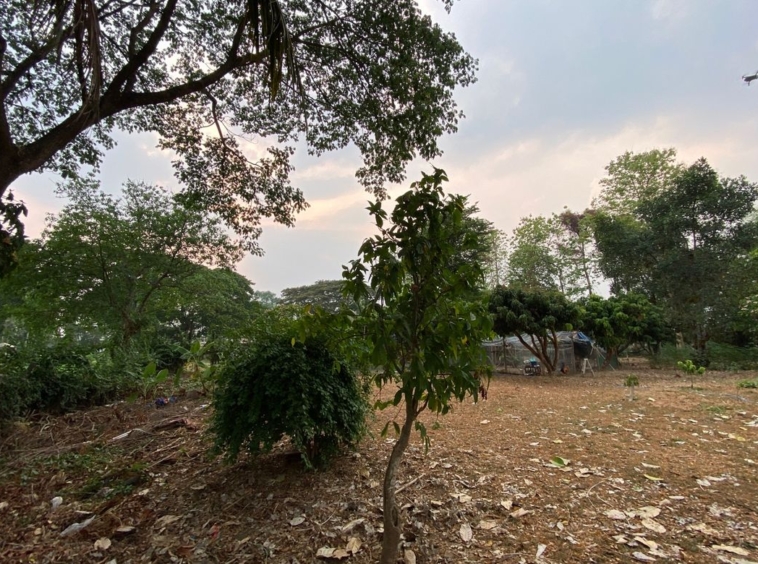 A nice size of land in Nam Phrae for sale