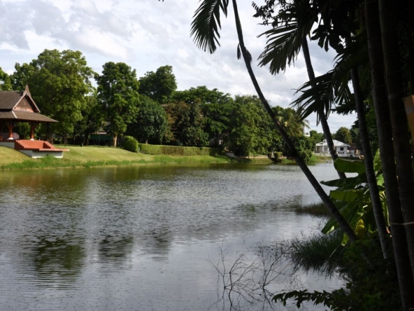 A beautiful plot by the lake for sale in Mae Rim