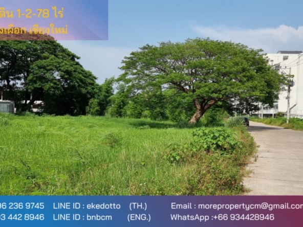 Land for sale behind Chiang Mai Rajabhat University