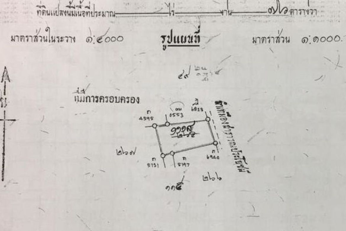 Chiang Mai-P-PLS509