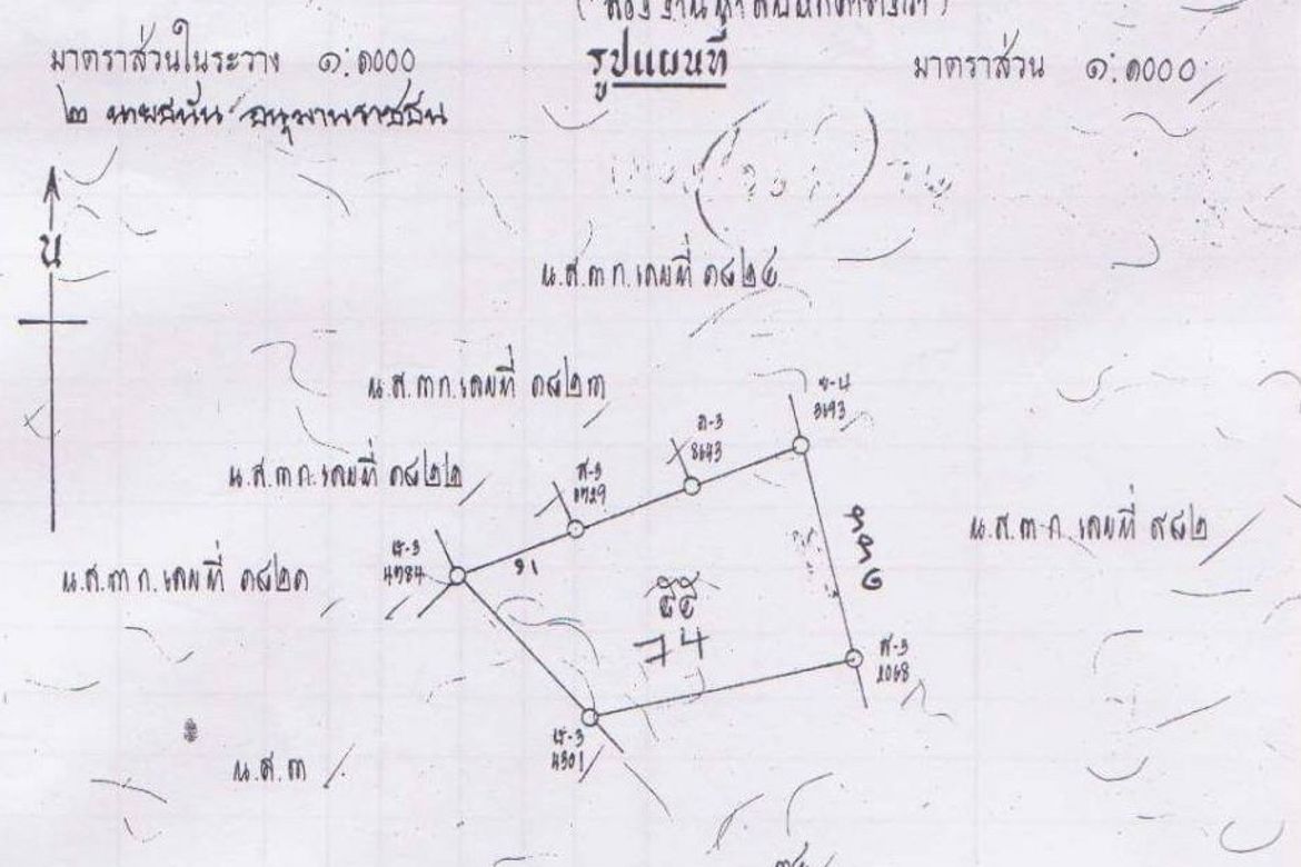 Chiang Mai-P-PLS635