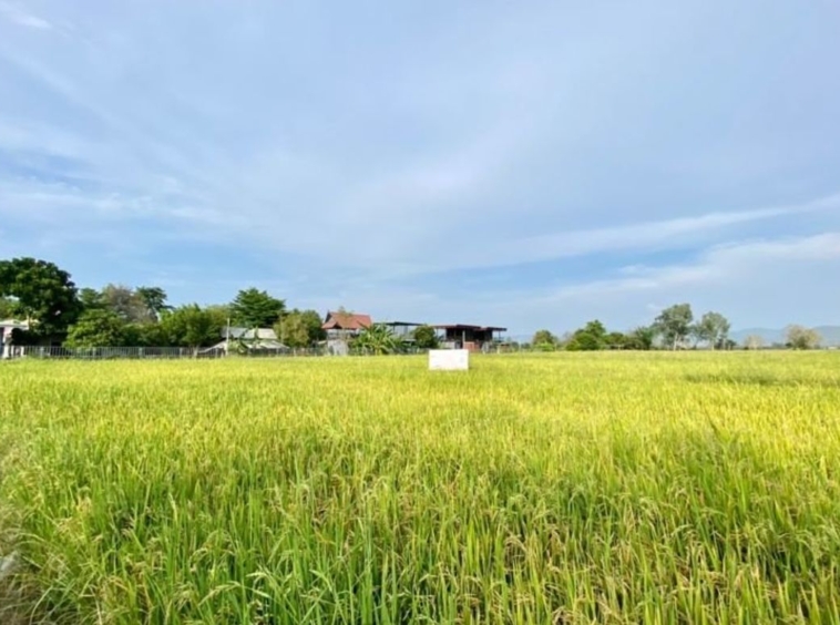 A nice plot of land for sell in Sankhampeang-P-PLS132