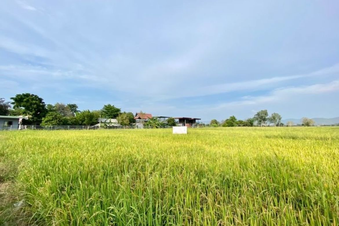 A nice plot of land for sell in Sankhampeang-P-PLS132