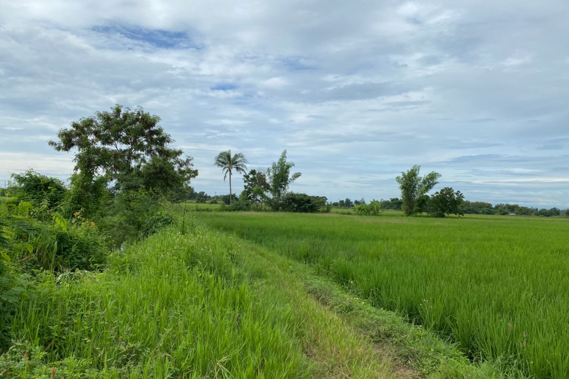 A nice plot for sale in Sankhampeang