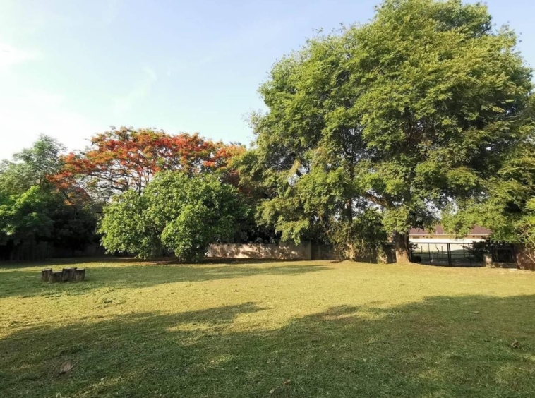 A nice plot ready to build for sale in Muang Chiang Mai-P-PLS928