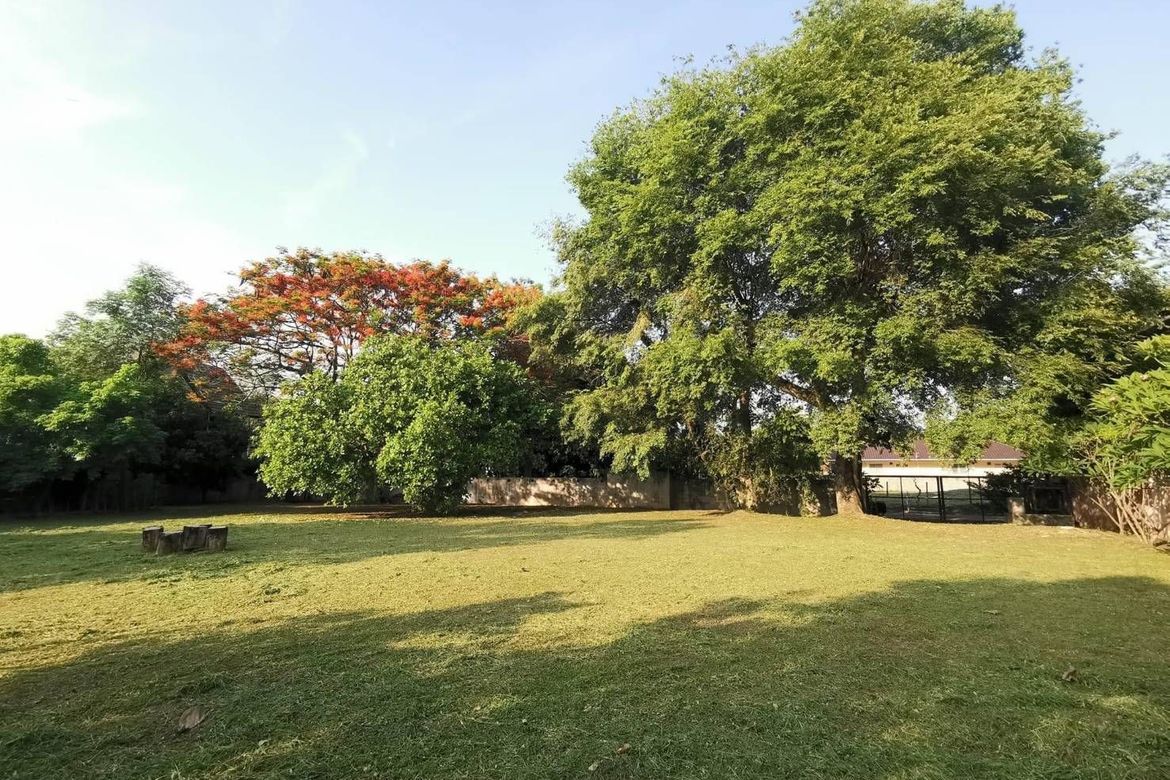 A nice plot ready to build for sale in Muang Chiang Mai-P-PLS928