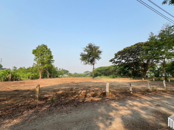 Property id 224LS Land for sale in Saraphi 1Rai 3Ngan 96sq.wa. near Global House Wiang Kum Kam-MR-224LS