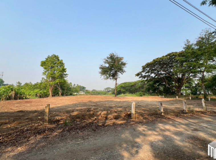 Property id 224LS Land for sale in Saraphi 1Rai 3Ngan 96sq.wa. near Global House Wiang Kum Kam-MR-224LS