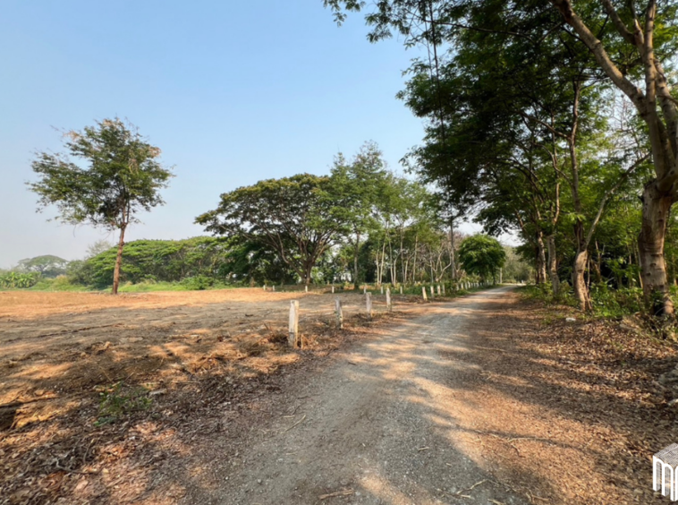 Property id 224LS Land for sale in Saraphi 1Rai 3Ngan 96sq.wa. near Global House Wiang Kum Kam-MR-224LS