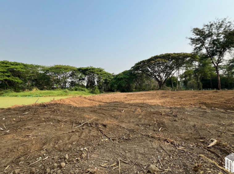 Property id 224LS Land for sale in Saraphi 1Rai 3Ngan 96sq.wa. near Global House Wiang Kum Kam-MR-224LS