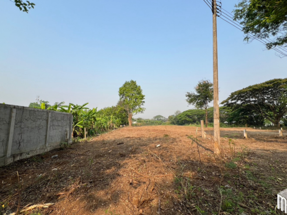 Property id 224LS Land for sale in Saraphi 1Rai 3Ngan 96sq.wa. near Global House Wiang Kum Kam-MR-224LS