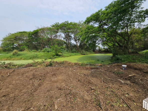 Property id 224LS Land for sale in Saraphi 1Rai 3Ngan 96sq.wa. near Global House Wiang Kum Kam-MR-224LS