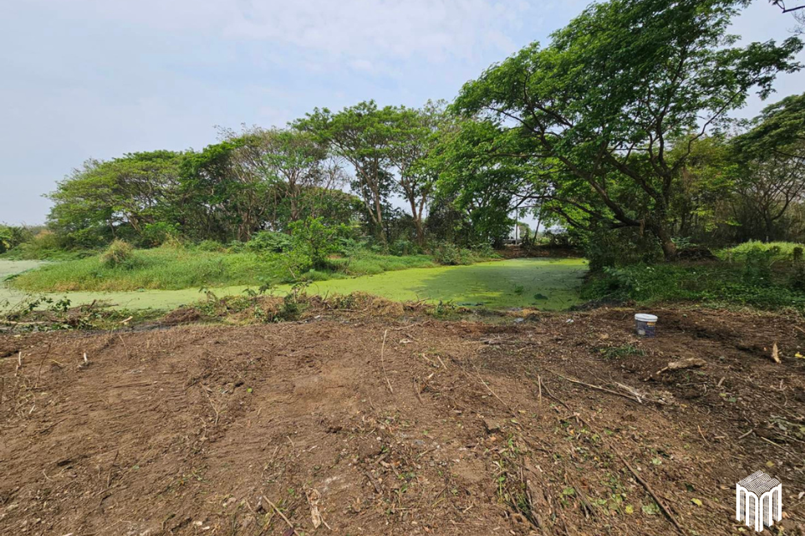 Property id 224LS Land for sale in Saraphi 1Rai 3Ngan 96sq.wa. near Global House Wiang Kum Kam-MR-224LS