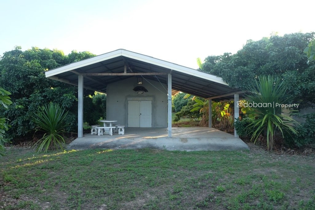 Beautiful 8-acre land plot with a lychee orchard