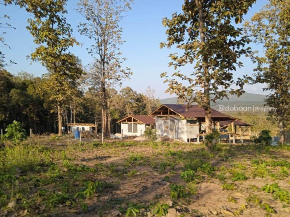 located in Doi Saket zone.-DB-LCMIDS016