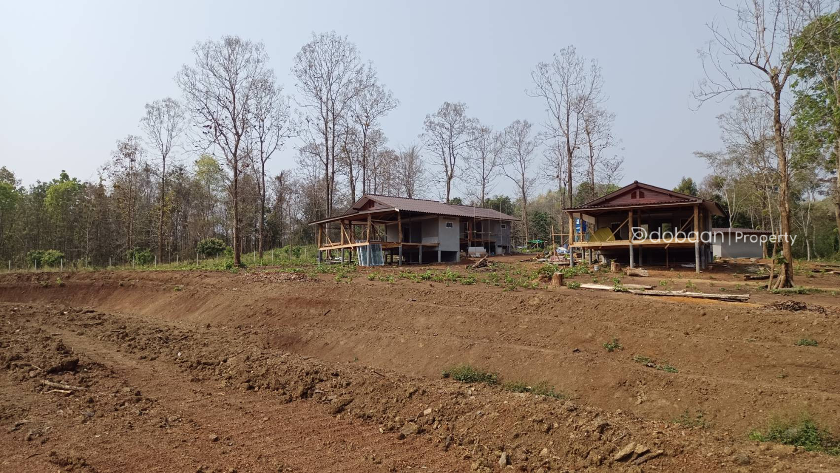 located in Doi Saket zone.-DB-LCMIDS017