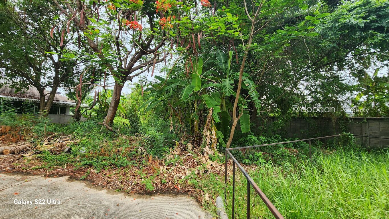 82 square wah beautiful land plot in Hang Dong zone.-DB-LCMIHD34