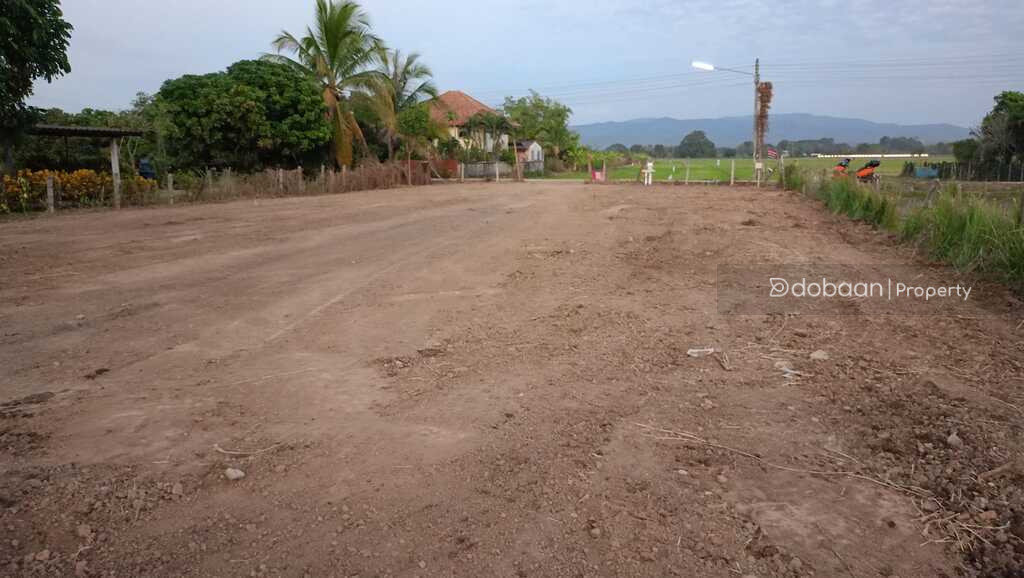 Beautiful 275 square wah land plot in Mae Rim zone