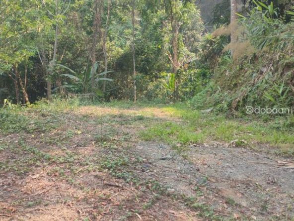 10 rai of land suitable for tourism. Make it a homestay or resort