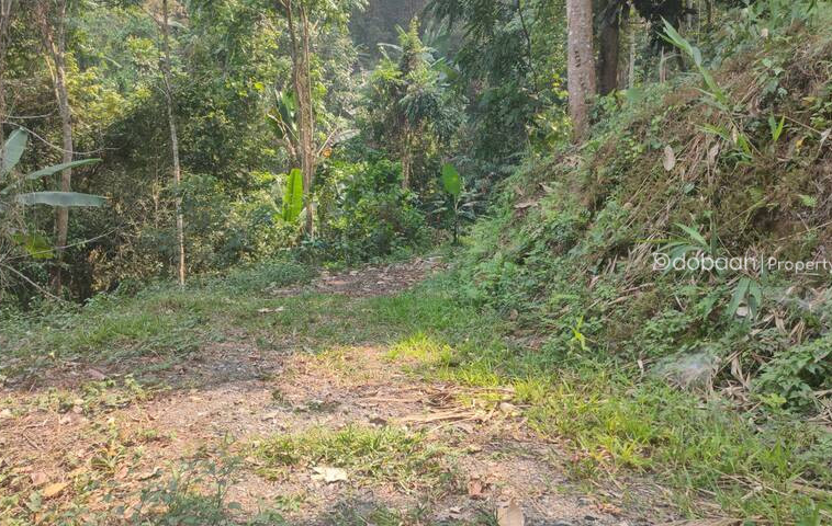 10 rai of land suitable for tourism. Make it a homestay or resort