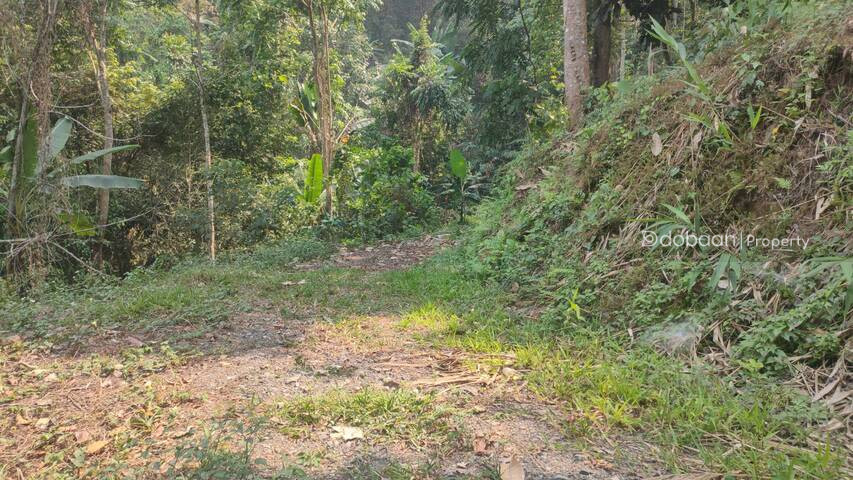 10 rai of land suitable for tourism. Make it a homestay or resort