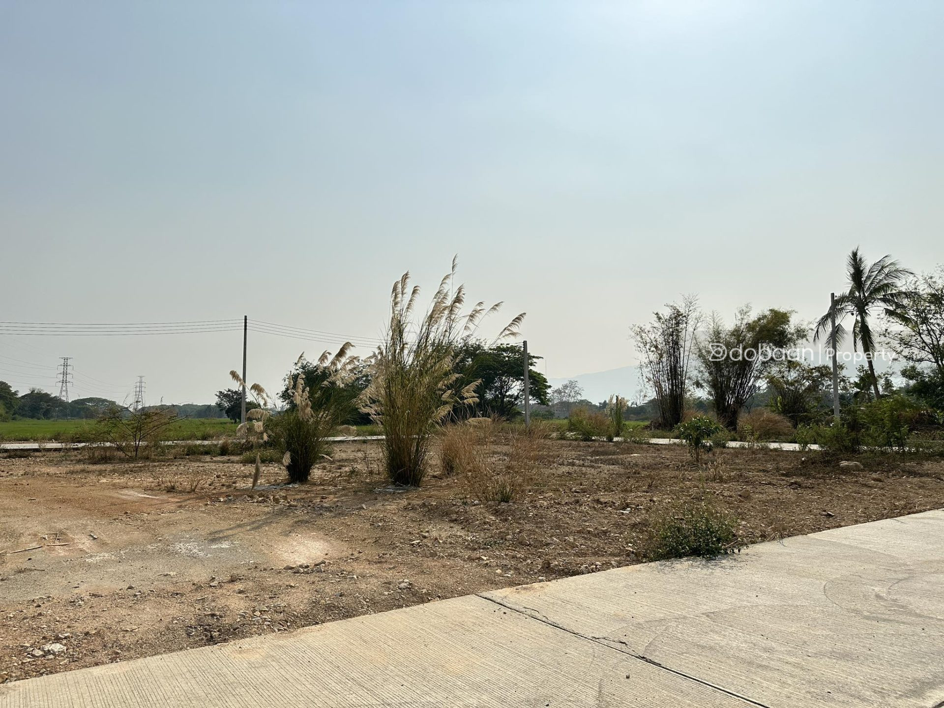 Beautiful 114 sq. wah land plot in the San Sai area