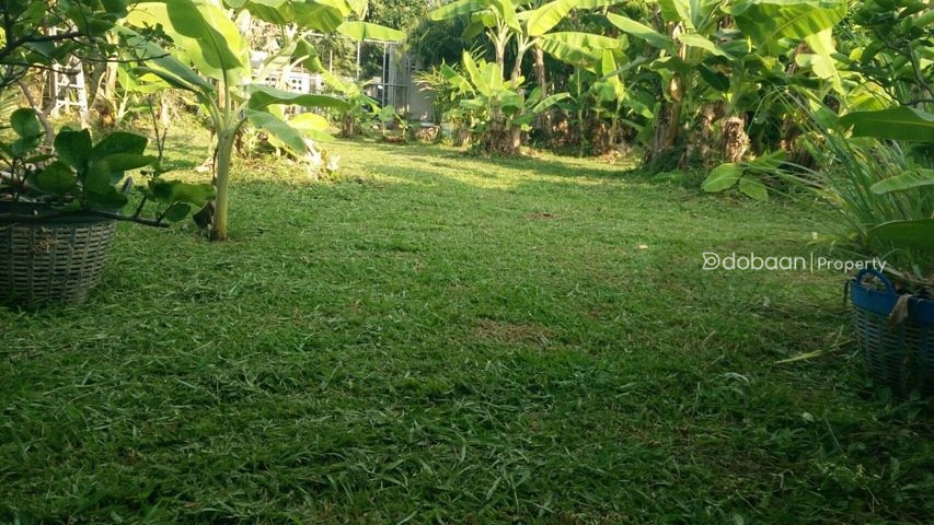 A beautiful 130 sq.wah  land plot located in the Sansai area