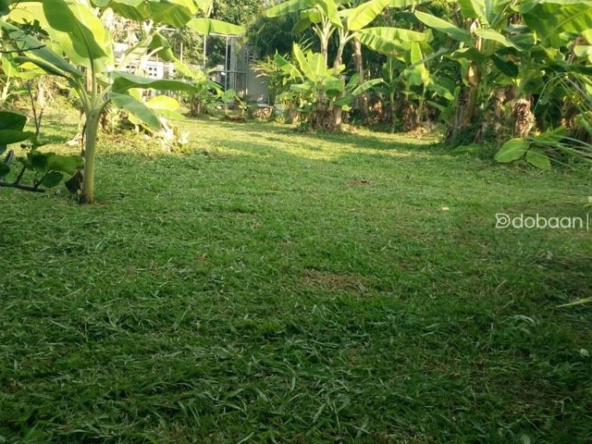 A beautiful 130 sq.wah  land plot located in the Sansai area