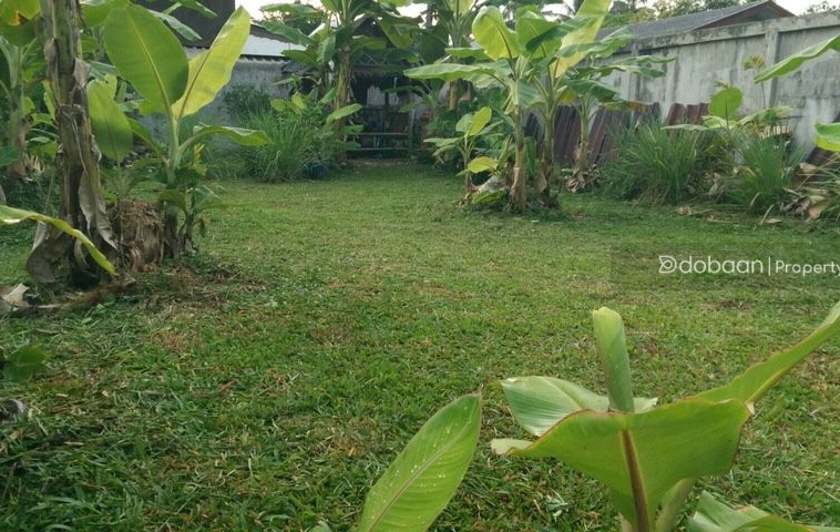 A beautiful 130 sq.wah  land plot located in the Sansai area