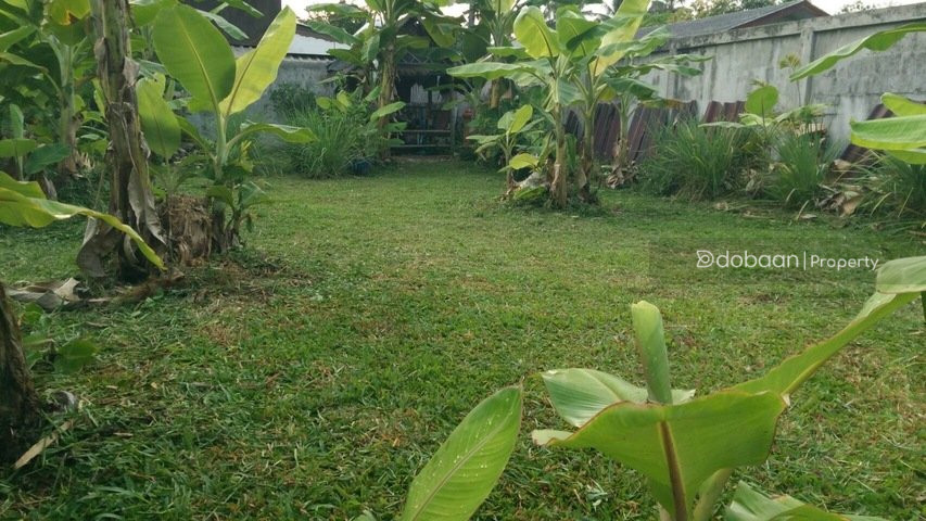 A beautiful 130 sq.wah  land plot located in the Sansai area