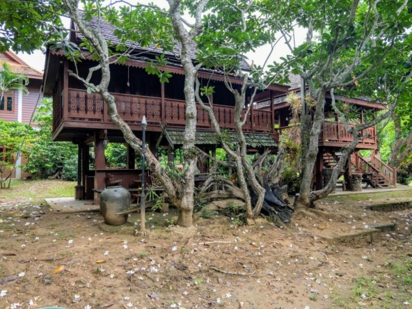 Teak Compound on 17.5 Rai along Ping River in Mae Rim-TNP-A875