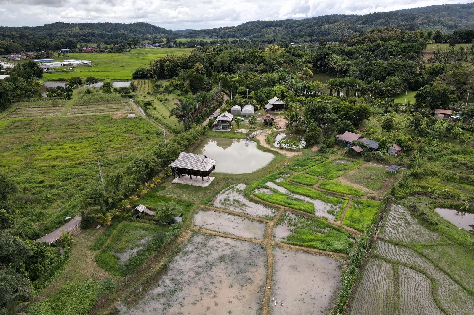 5 House Thai Style Complex in Mae Rim-TNP-D1001