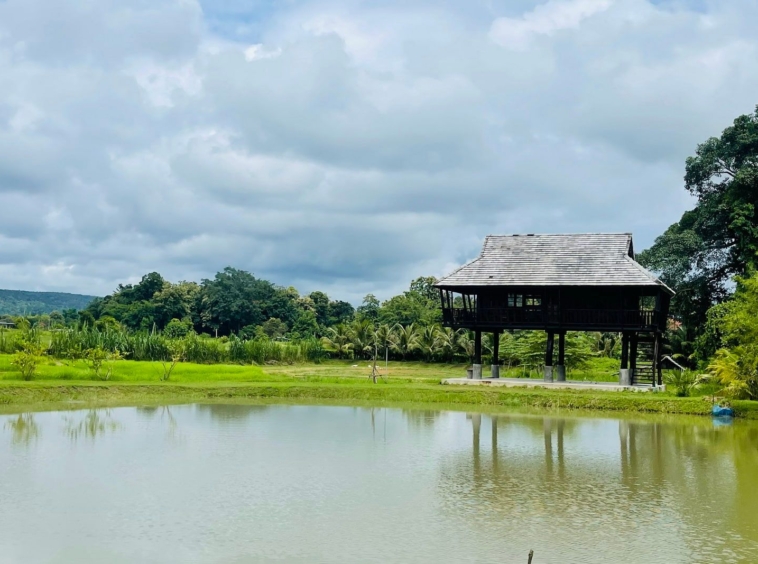 5 House Thai Style Complex in Mae Rim-TNP-D1001