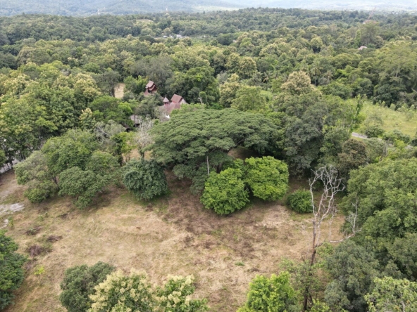 10.5 Rai of Land near Four Seasons in Mae Rim-TNP-L142